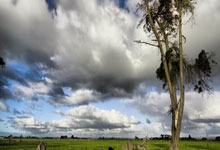 世俱杯女足赛充满悬念，各队争夺桂冠尝试超越自我