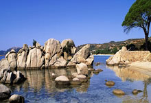 捷克选手力克强敌，获得冠军