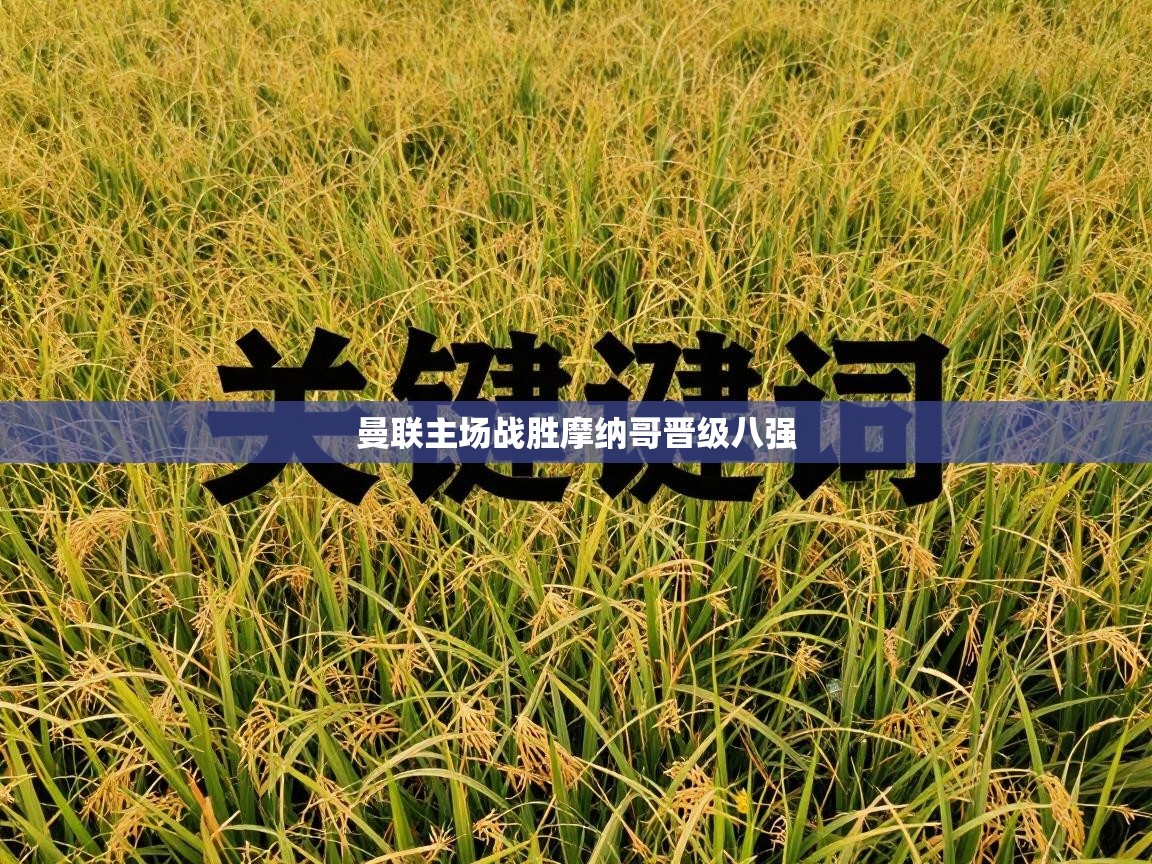 曼联主场战胜摩纳哥晋级八强  第1张